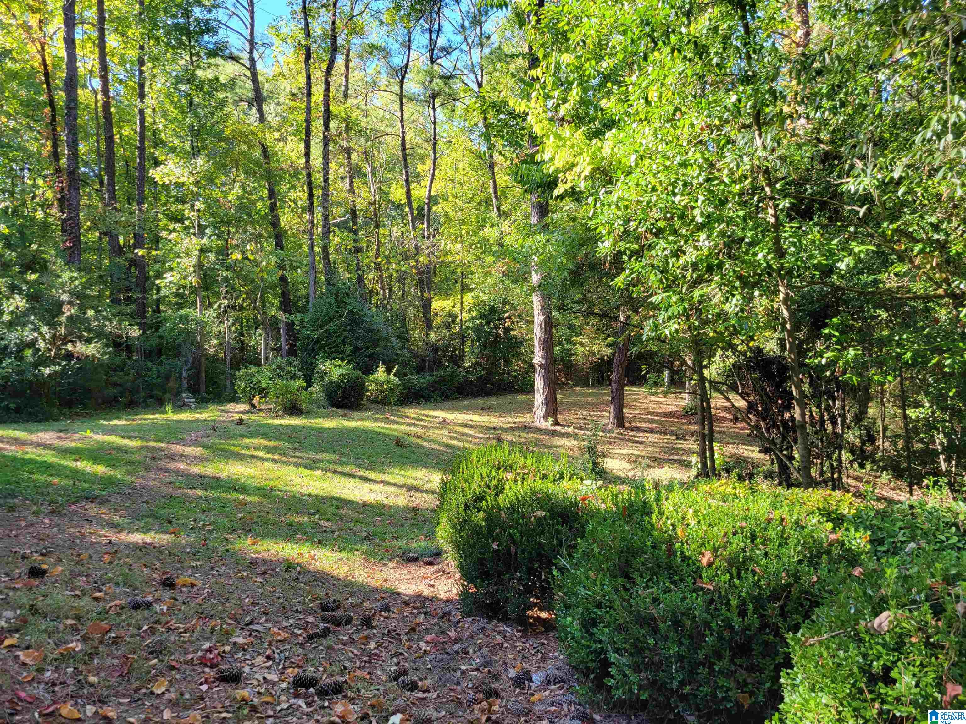 788 Dividing Ridge Drive Birmingham, AL 35244 - Photo 3 of 39