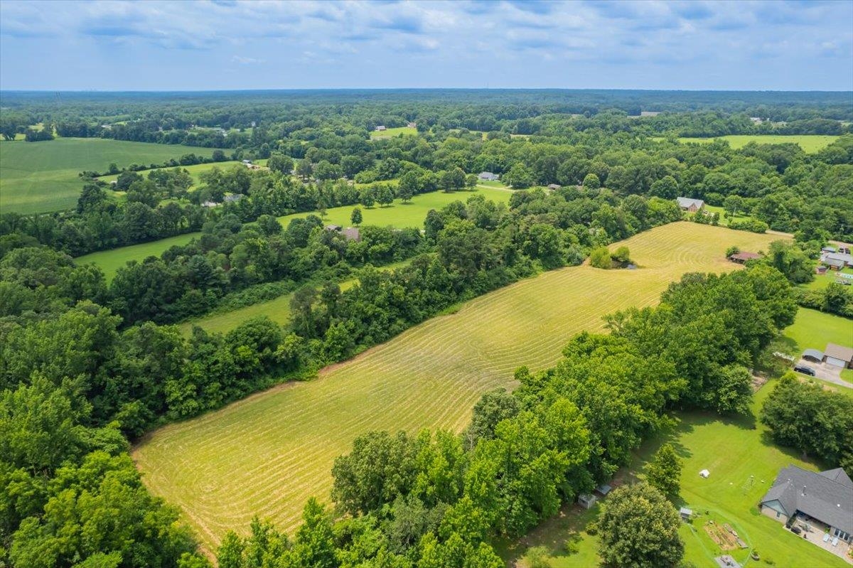 0 Bass Road Millington, TN 38053 - Photo 7 of 18