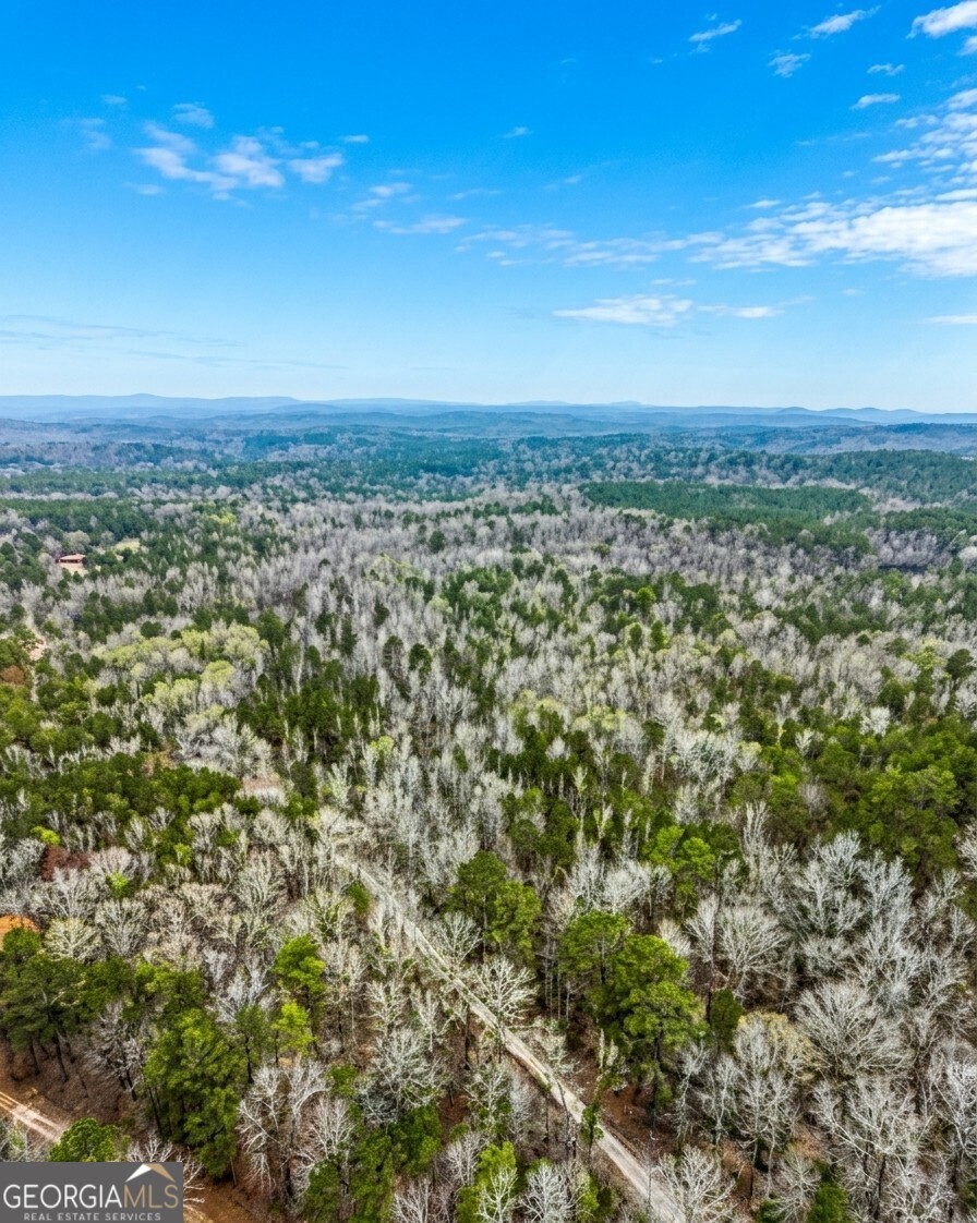 0 Hopeful Road, Unit LOT 2 Munford, AL 36268 - Photo 4 of 12