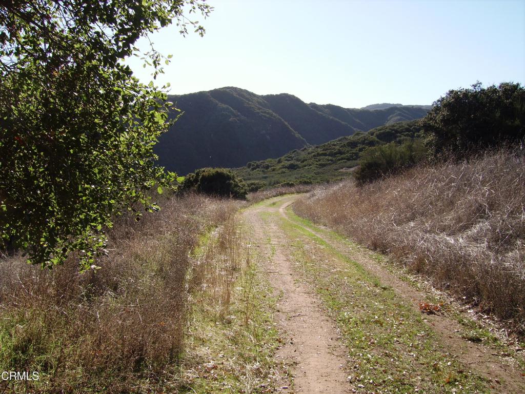 7205 Rose Valley Road Ojai, CA 93023 - Photo 9 of 12 a view of a dry yard with green space