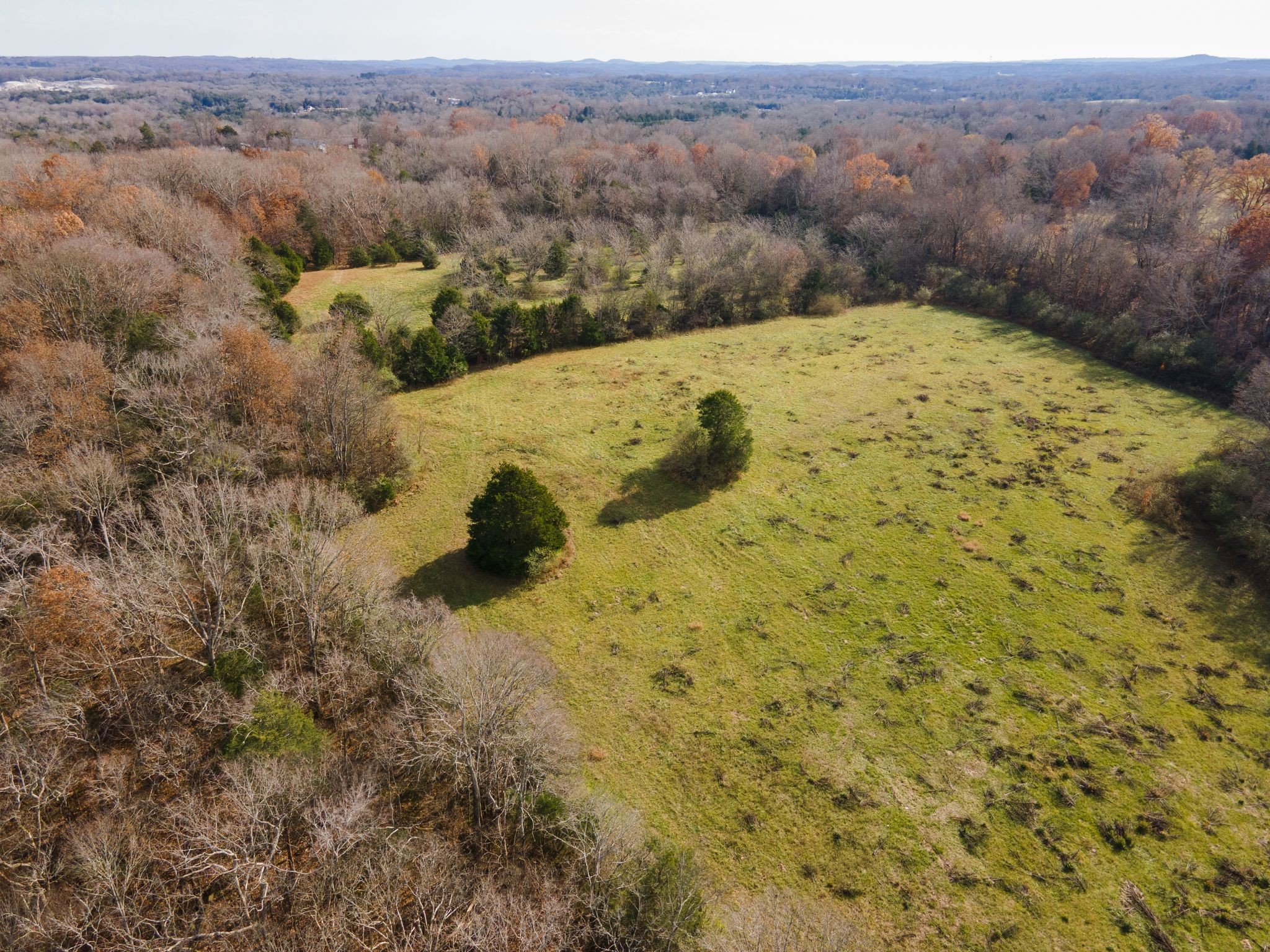 1201 Harris Road Columbia, TN 38401 - Photo 5 of 9 a view of a dry yard with green space