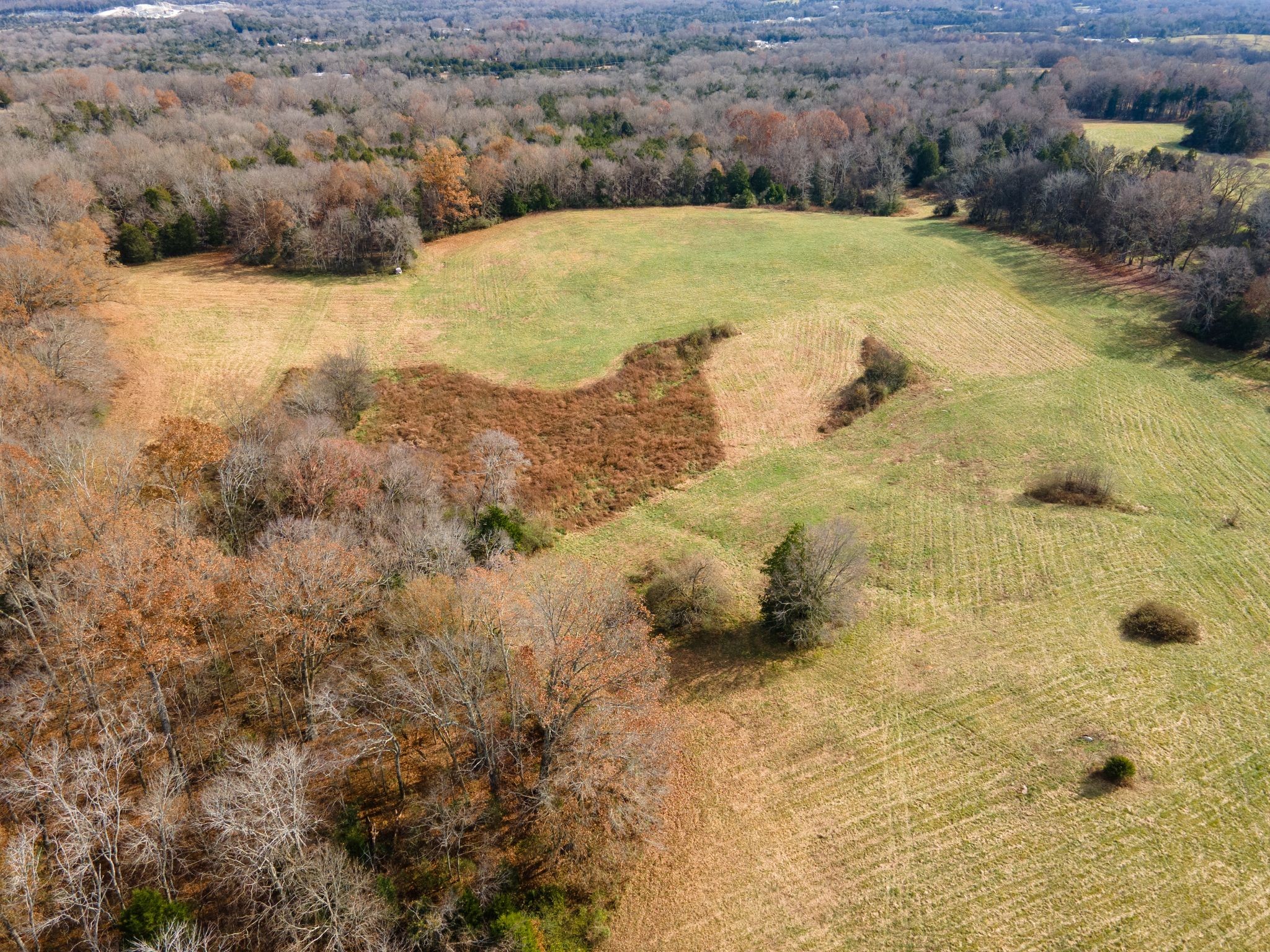 1201 Harris Road Columbia, TN 38401 - Photo 8 of 9 a view of a yard
