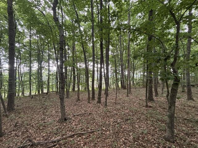 0 Greenfields Way North, Unit 12 Dunlap, TN 37327 - Photo 8 of 10 IMG_0217