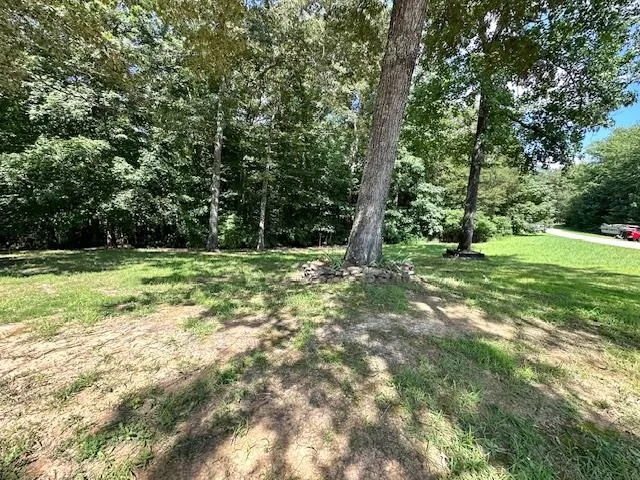 a view of outdoor space with trees all around