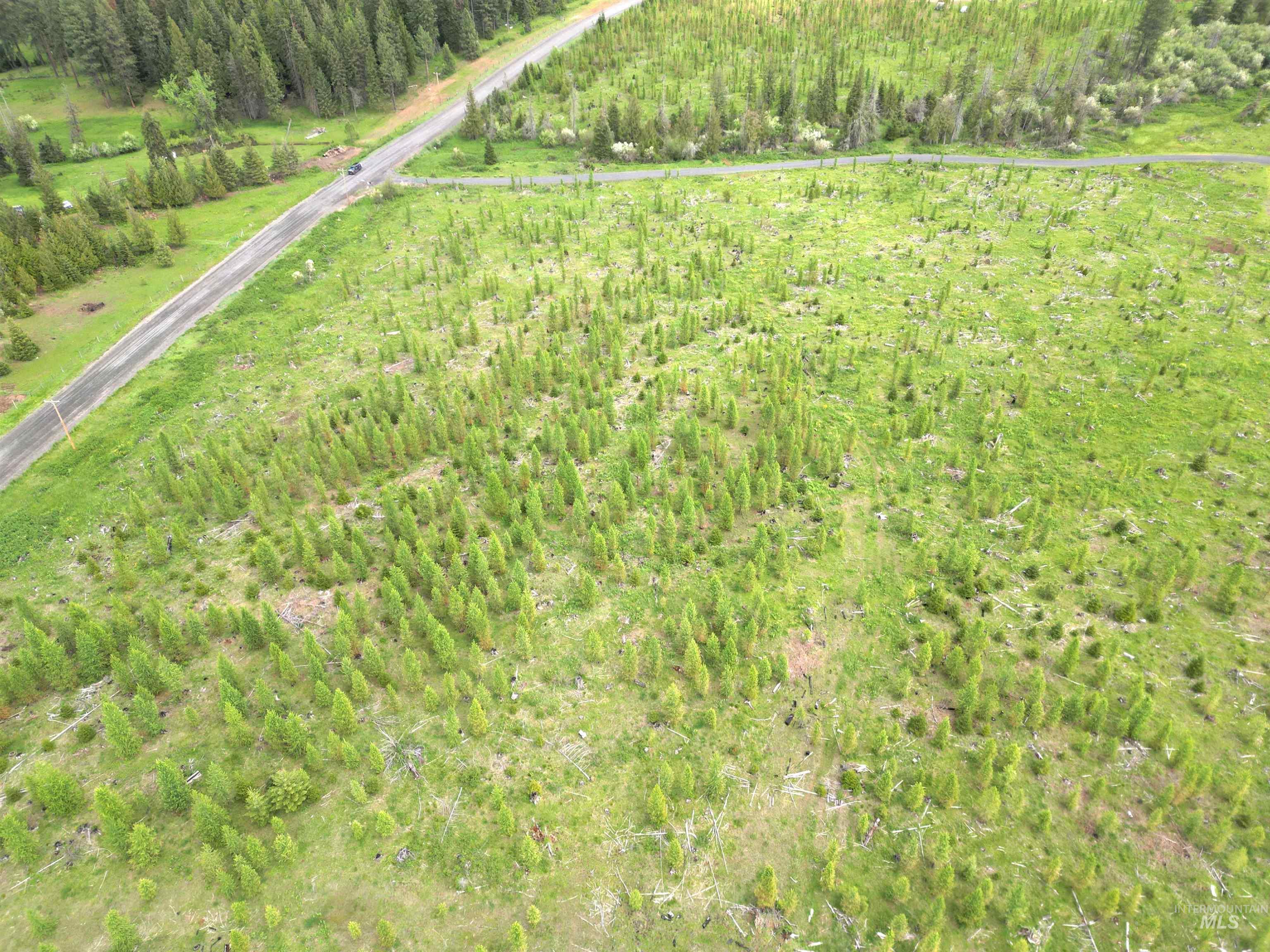 Tbd Upper Fords Creek Road Orofino, ID 83544 - Photo 2 of 4