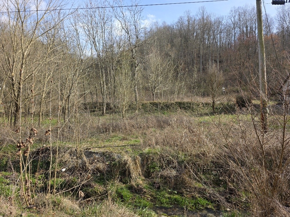 0 Austin Hollow Road Pleasant Shade, TN 37145 - Photo 4 of 4 Gallery Image 4