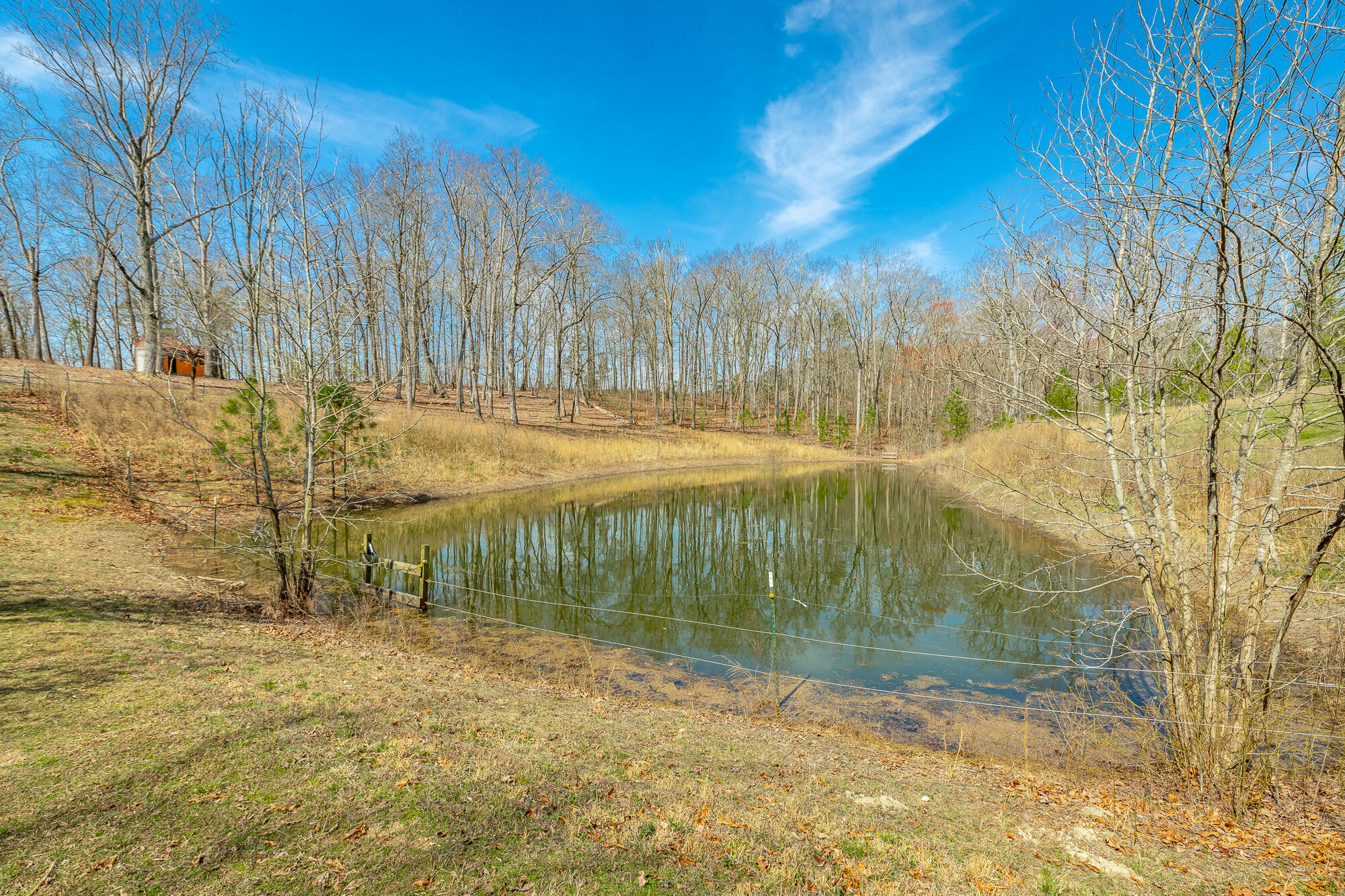 4856 Highway 95 Rock Spring, GA 30739 - Photo 51 of 63 Stocked Pond