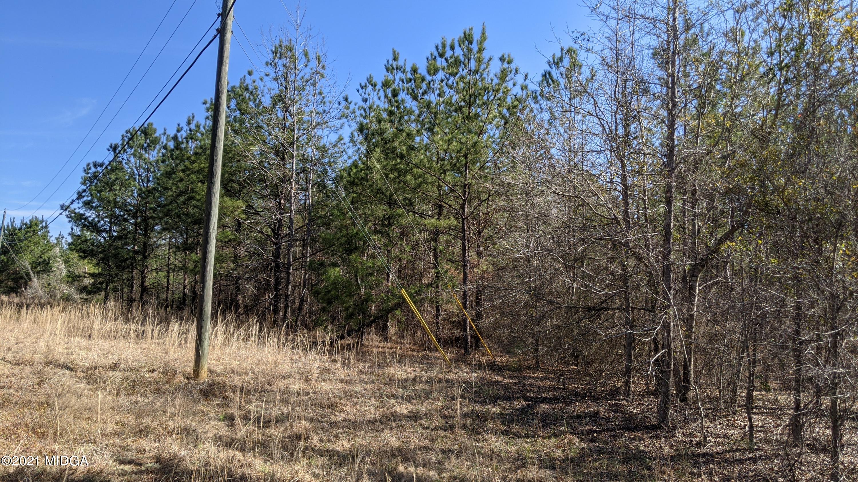 0 Ridge Road Macon, GA 31217 - Photo 2 of 4 PXL_20210310_152218283