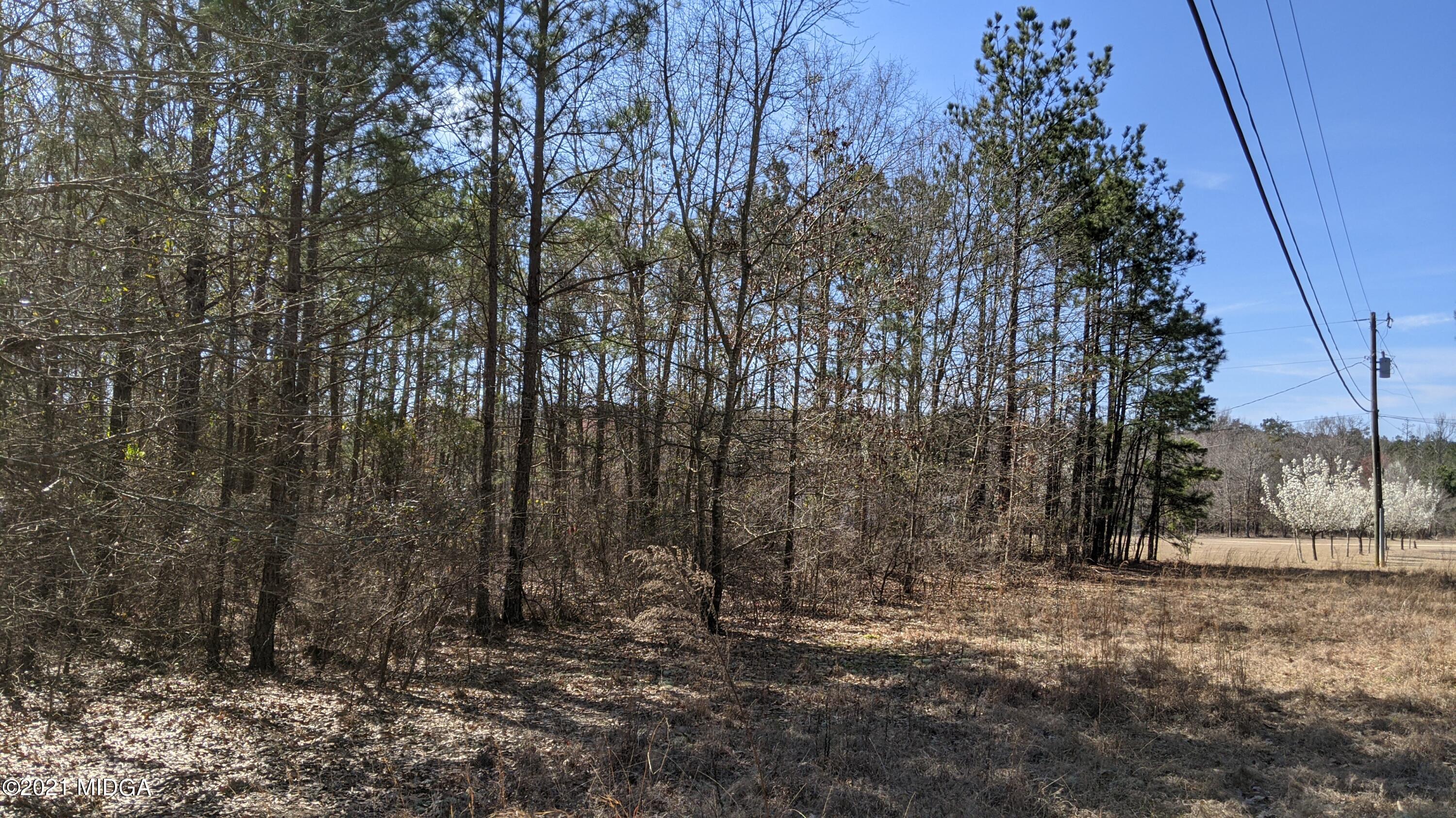 0 Ridge Road Macon, GA 31217 - Photo 3 of 4 PXL_20210310_152223343