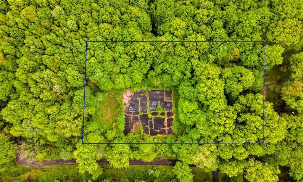 0 Forest Road New Castle, PA 16105 - Photo 2 of 2 a view of a large yard with a tree