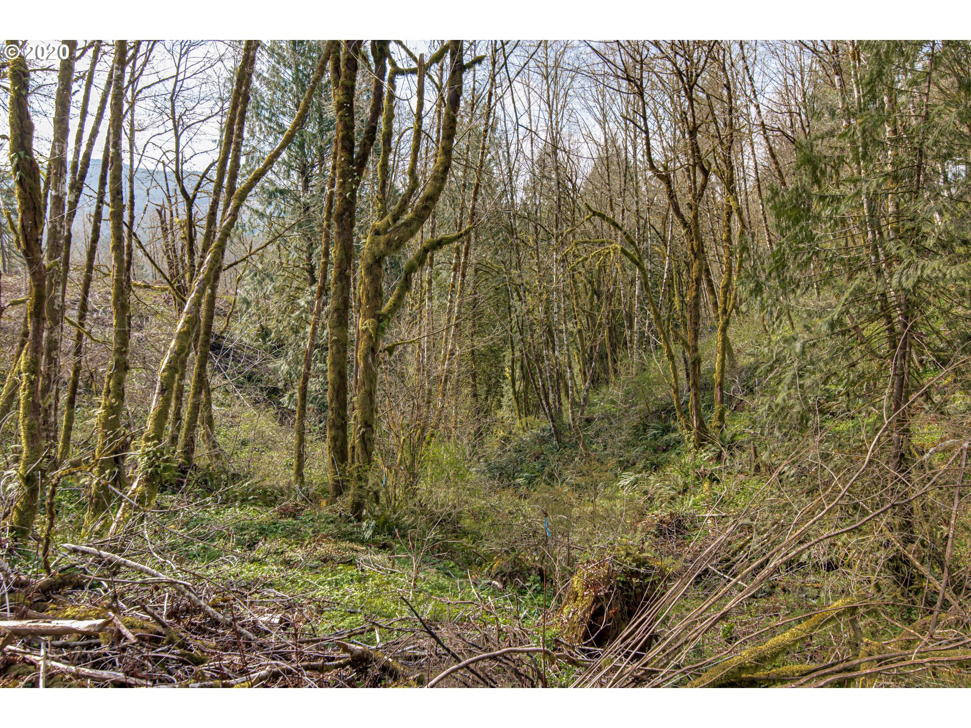 0 Fredrickson Road Woodland, WA 98674 - Photo 2 of 7 Gallery Image 2
