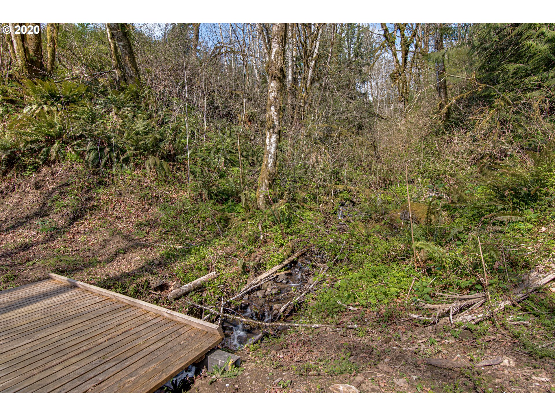 0 Fredrickson Road Woodland, WA 98674 - Photo 3 of 7 Gallery Image 3