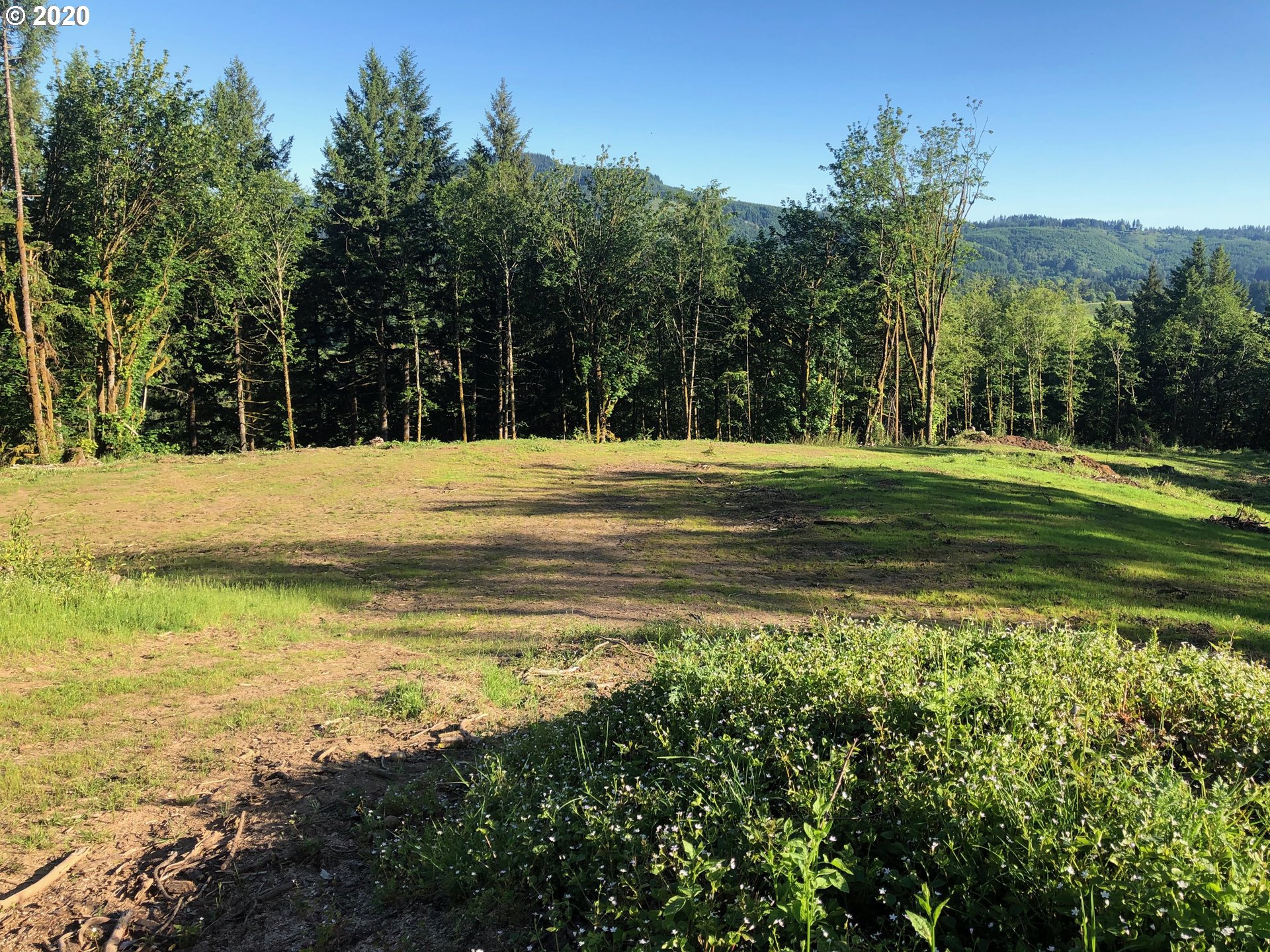 0 Fredrickson Road Woodland, WA 98674 - Photo 6 of 7 Gallery Image 6