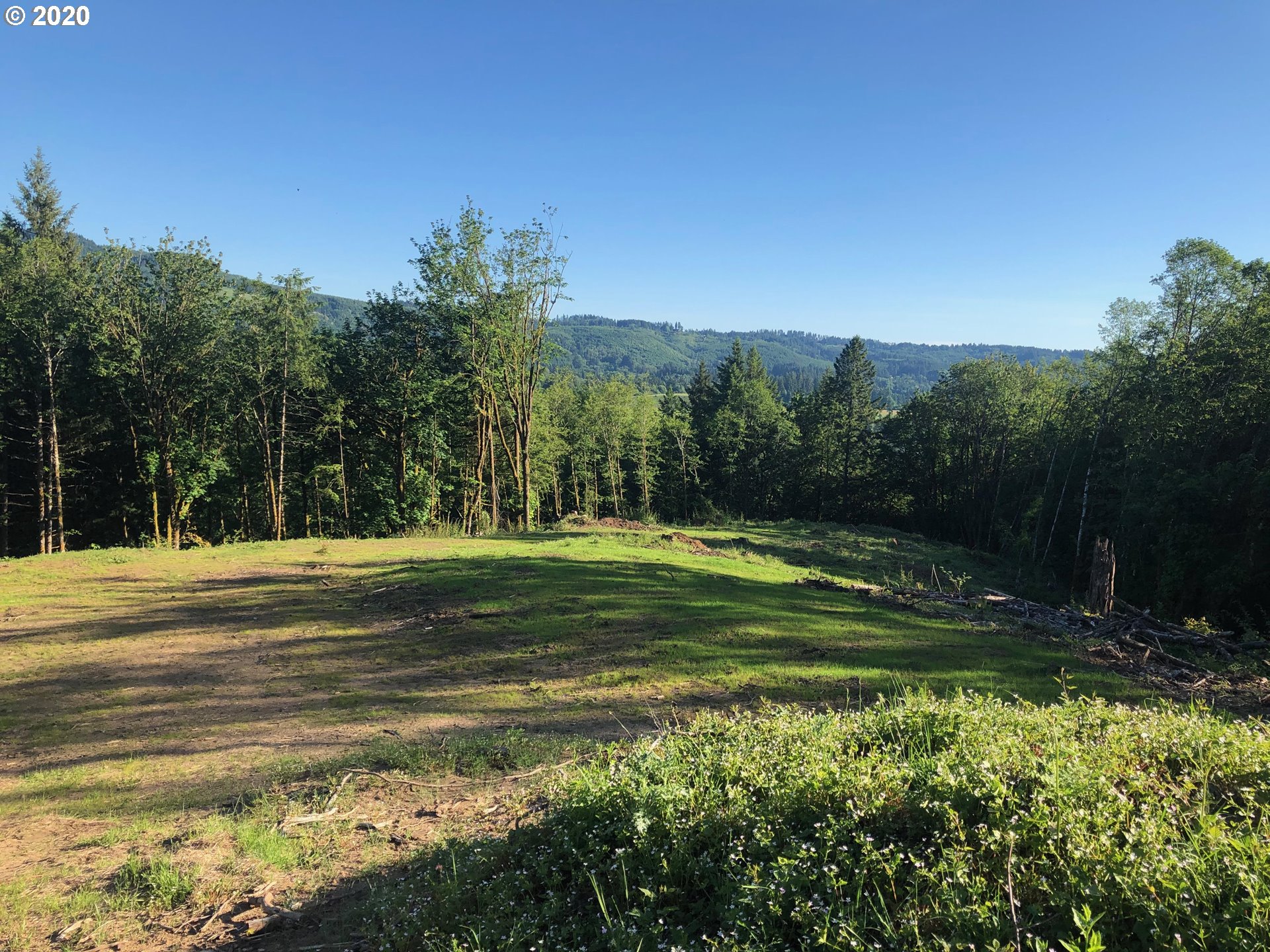 0 Fredrickson Road Woodland, WA 98674 - Photo 7 of 7 Gallery Image 7