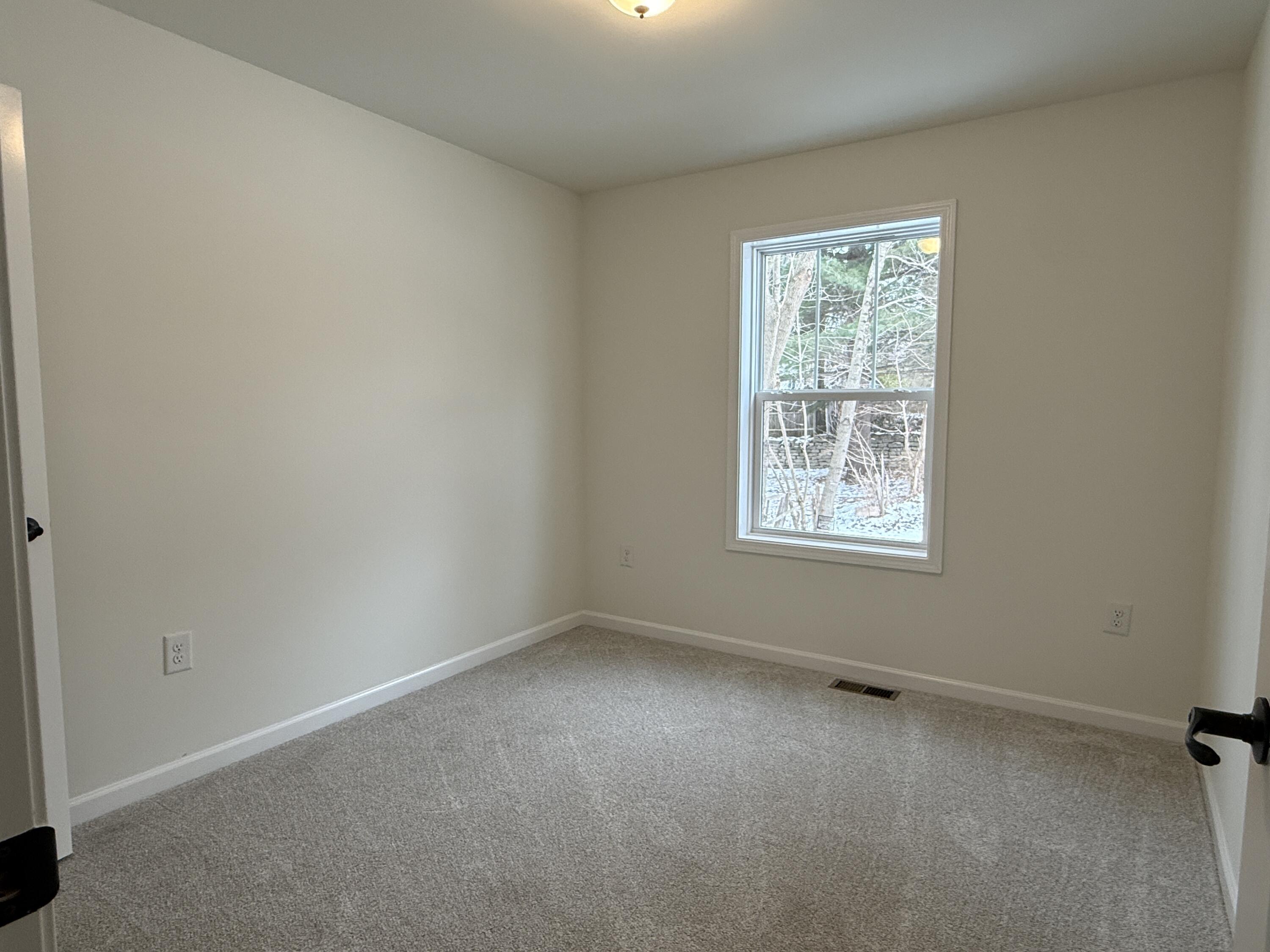 312 Fitch Street Albion, MI 49224 - Photo 12 of 25 IMG_1531