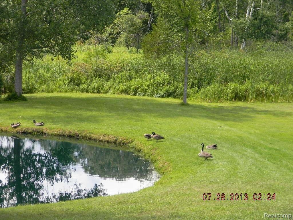 8052 Pinckney Road Pinckney, MI 48169 - Photo 27 of 36 DSCN9432.JPG
