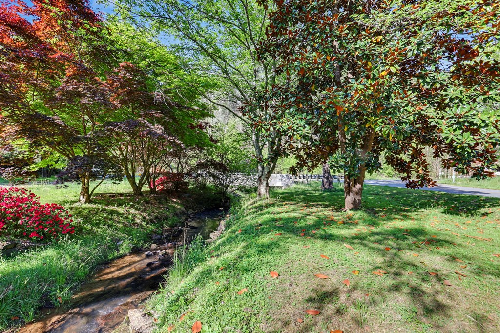 20 Bates Creek Road Murphy, NC 28906 - Photo 2 of 47