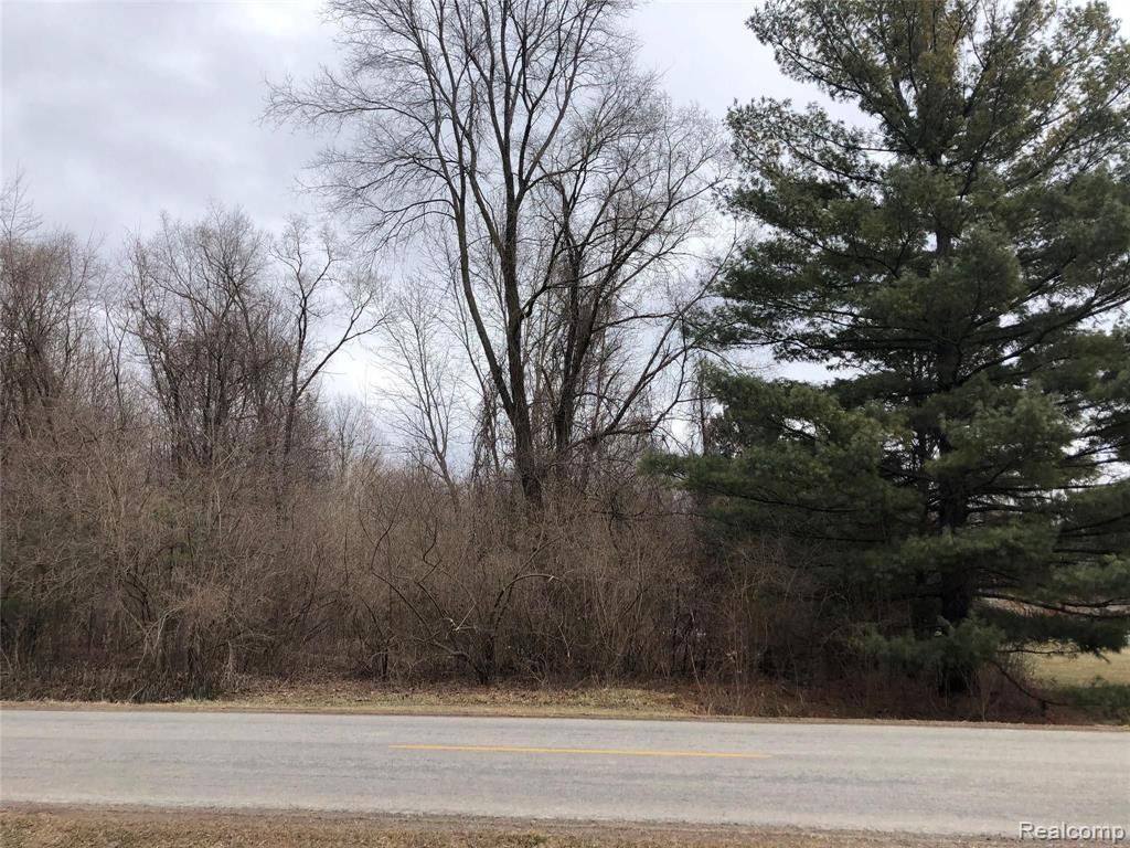 0 Gruber Road Monroe, MI 48162 - Photo 2 of 3