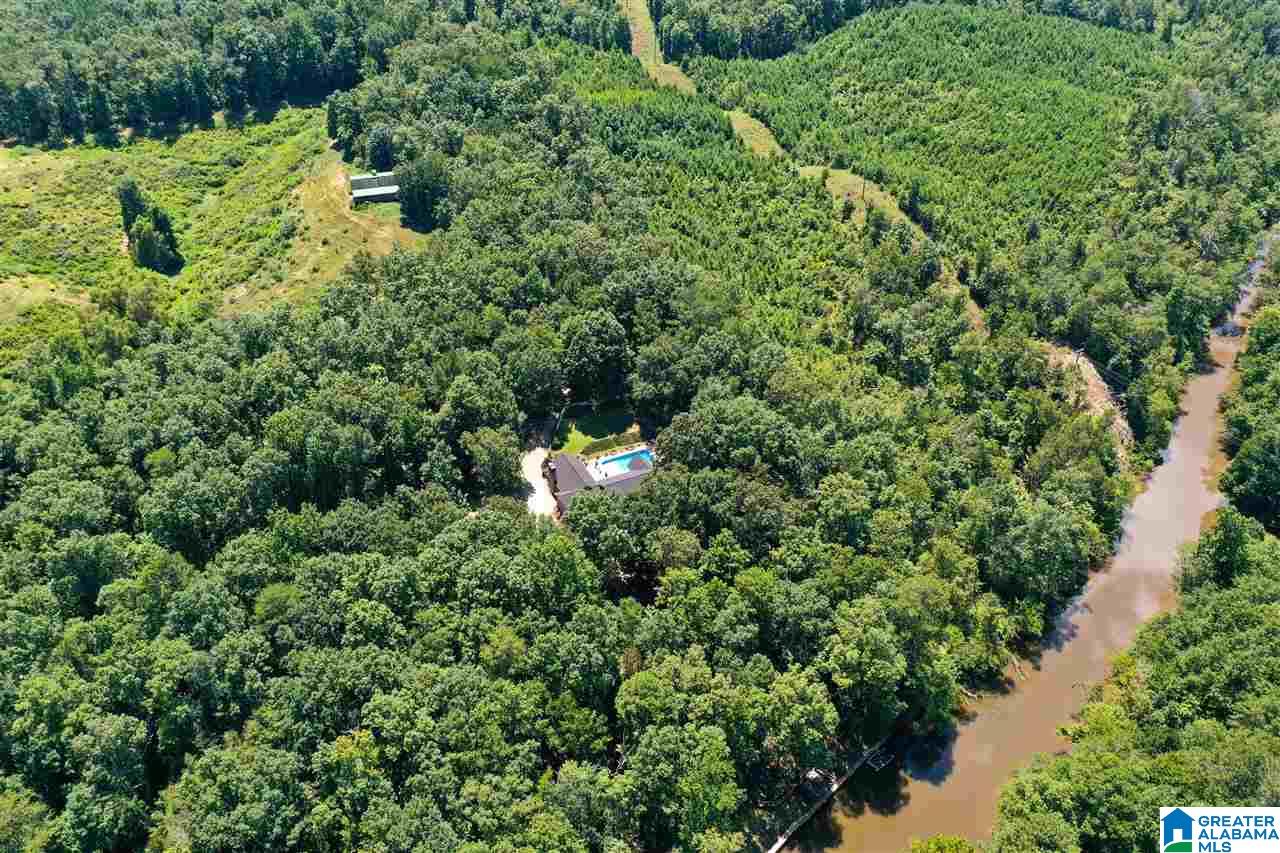 7015 County Road 55 Clanton, AL 35046 - Photo 47 of 49