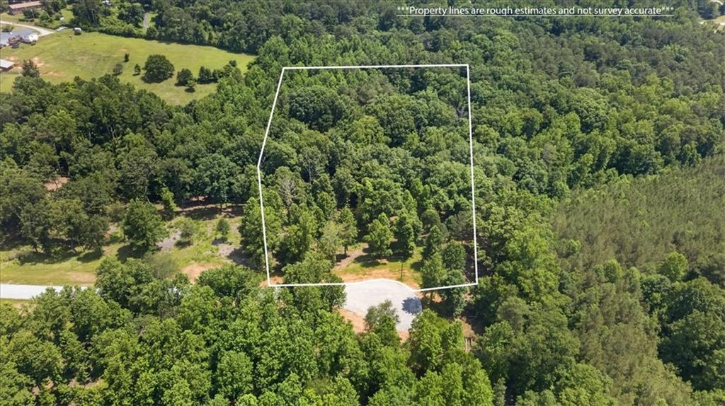 0 Conns Creek Road Ball Ground, GA 30107 - Photo 21 of 57