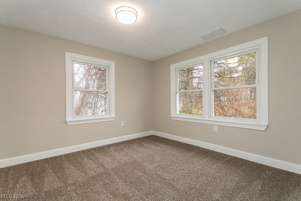9865 Chillicothe Road Kirtland, OH 44094 - Photo 25 of 36 Carpeted spare room with a wealth of natural light