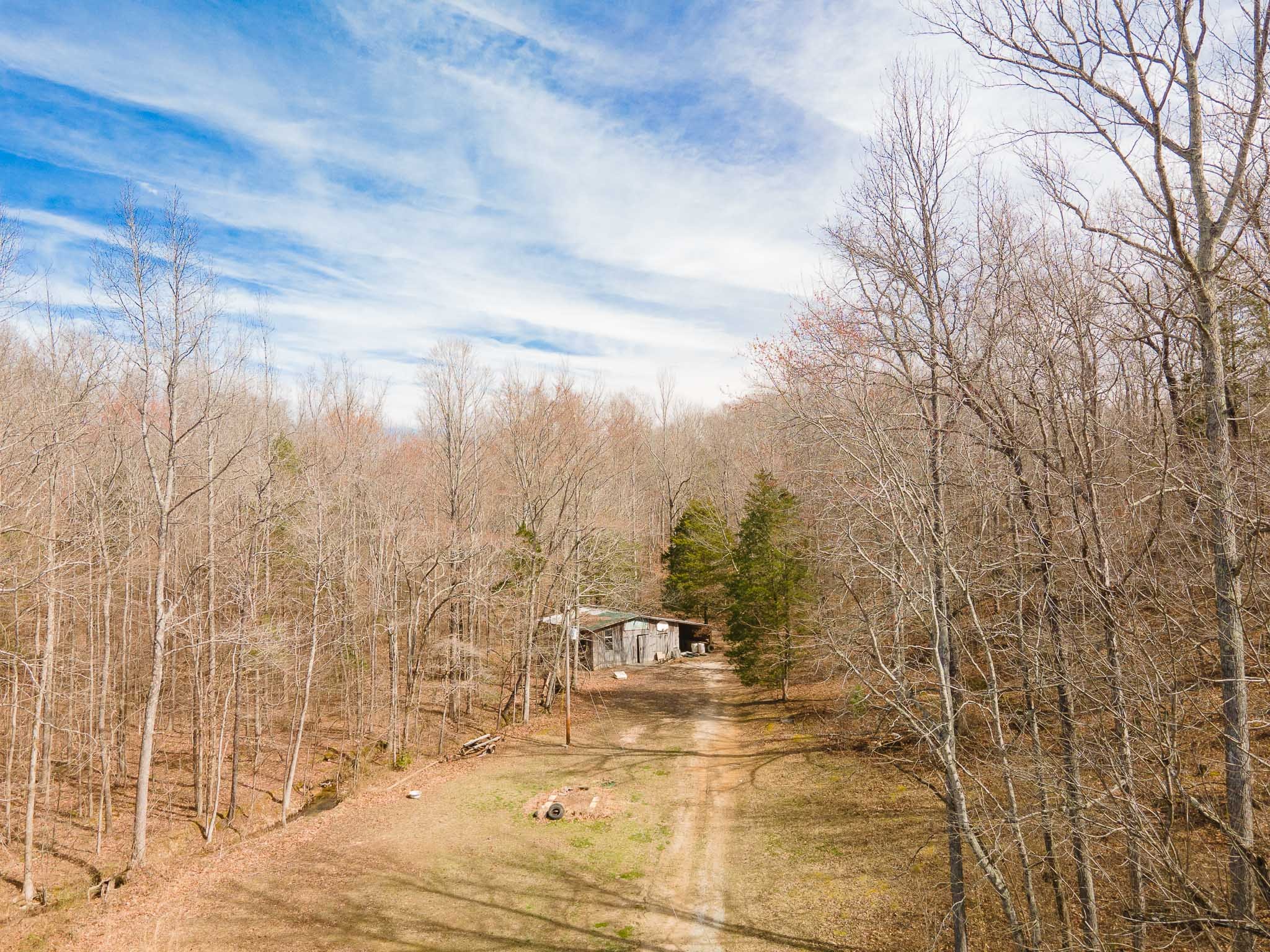 220 Little Birdsong Road Camden, TN 38320 - Photo 11 of 46 Gallery Image 11