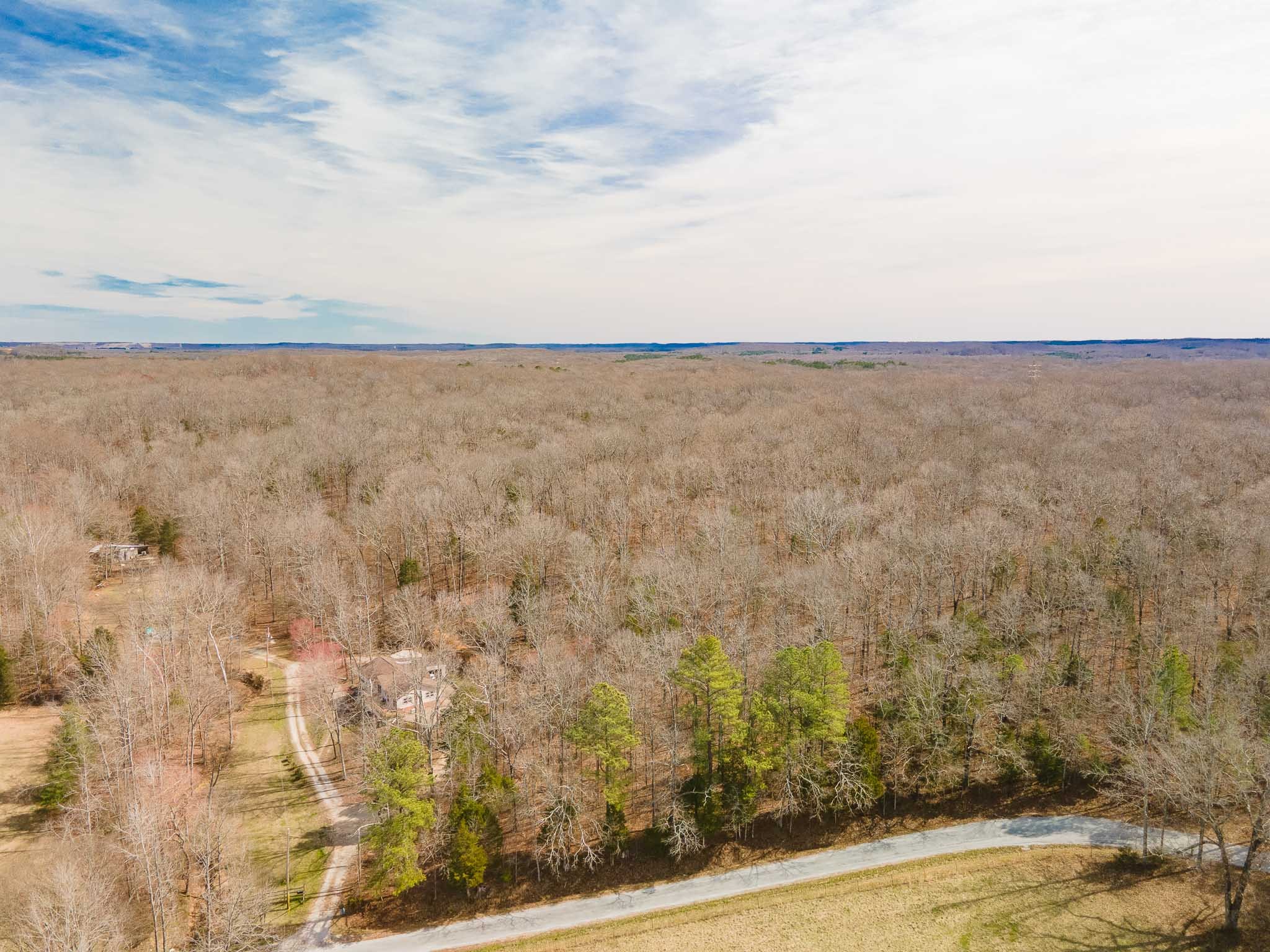 220 Little Birdsong Road Camden, TN 38320 - Photo 3 of 46 Gallery Image 3