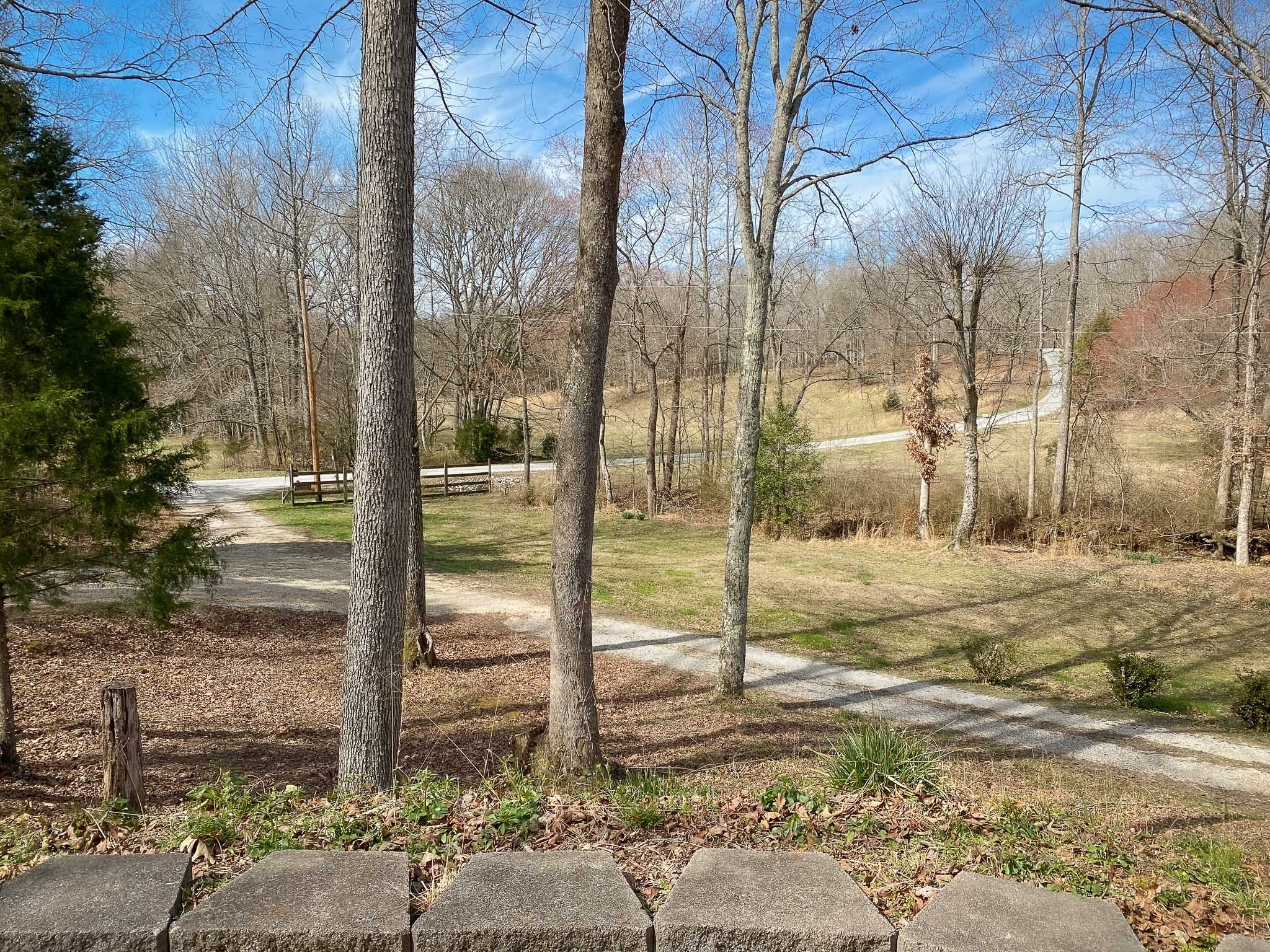220 Little Birdsong Road Camden, TN 38320 - Photo 5 of 46 Gallery Image 5