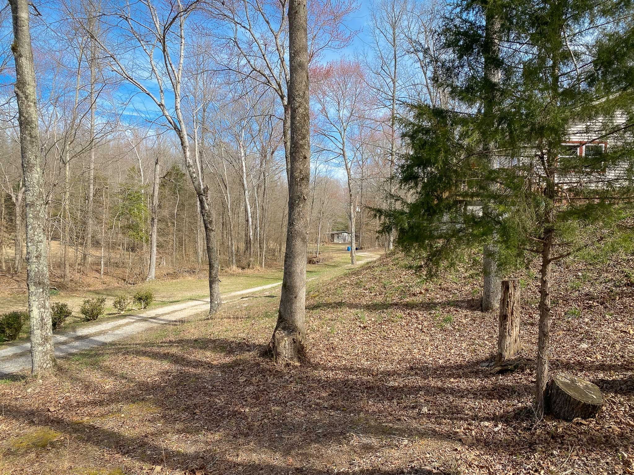 220 Little Birdsong Road Camden, TN 38320 - Photo 6 of 46 Gallery Image 6