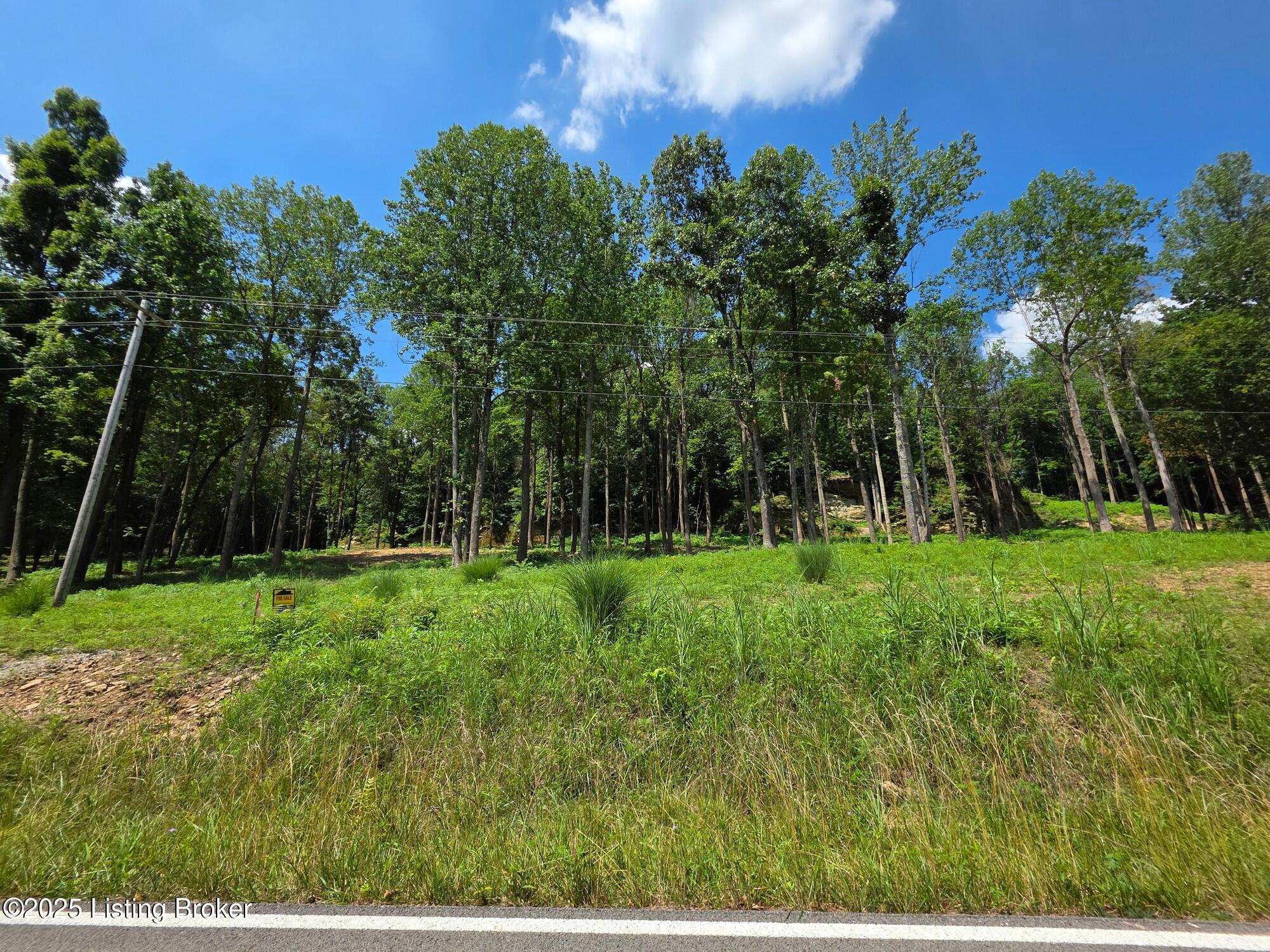 7 Cave Creek Road Falls Of Rough, KY 40119 - Photo 2 of 12 Lot 1 The Cliffs at Cave Creek