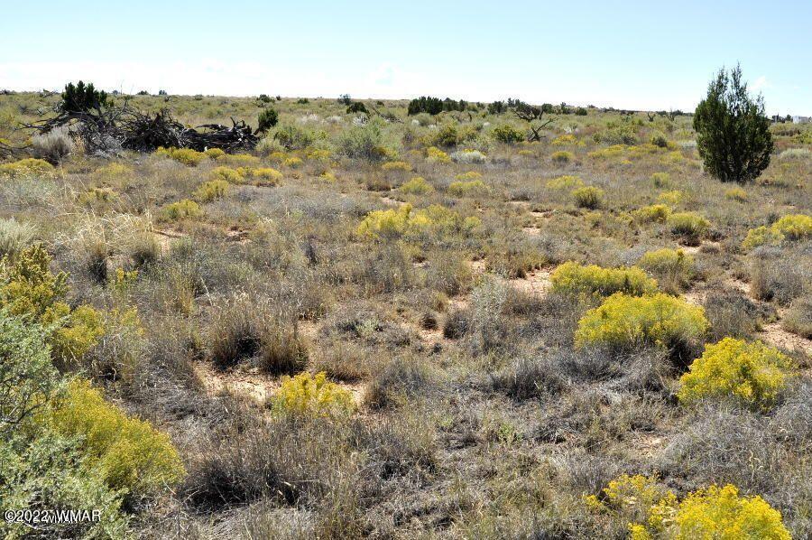 Lot 37 Old Woodruff Road Snowflake, AZ 85937 - Photo 11 of 14
