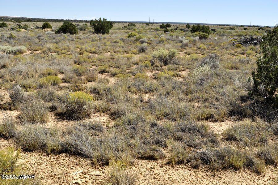 Lot 37 Old Woodruff Road Snowflake, AZ 85937 - Photo 12 of 14