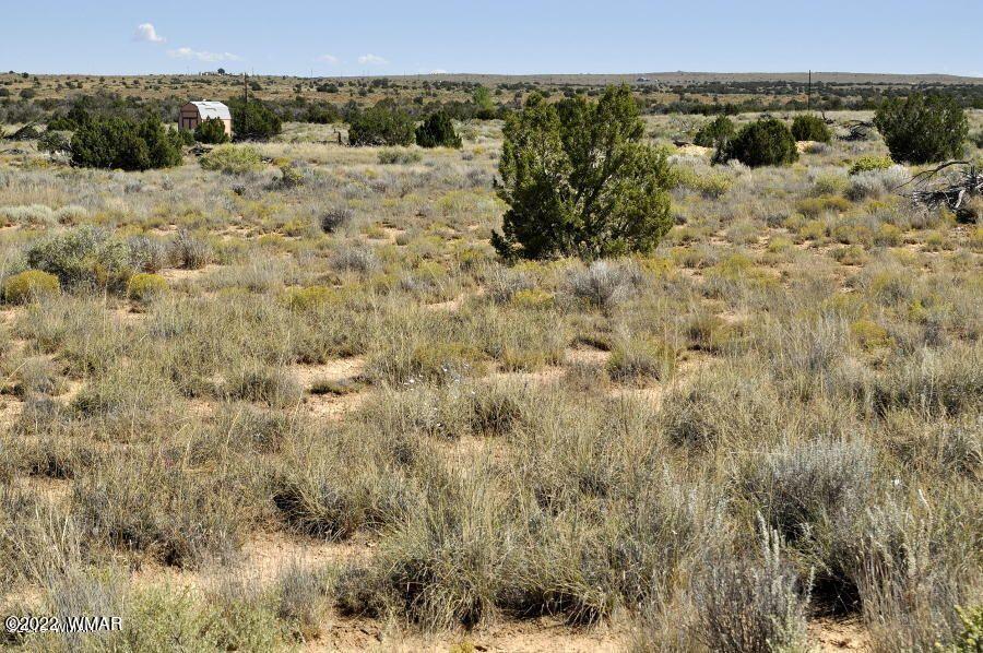 Lot 37 Old Woodruff Road Snowflake, AZ 85937 - Photo 13 of 14