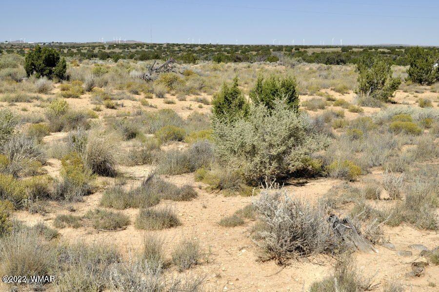 Lot 37 Old Woodruff Road Snowflake, AZ 85937 - Photo 14 of 14