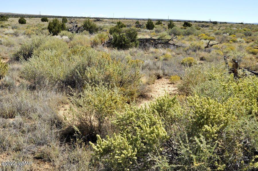 Lot 37 Old Woodruff Road Snowflake, AZ 85937 - Photo 2 of 14