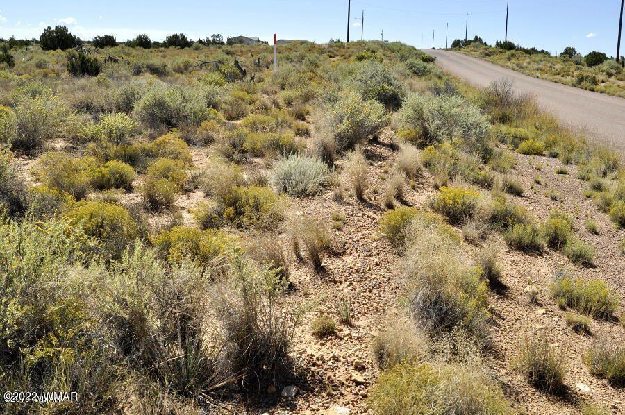 Lot 37 Old Woodruff Road Snowflake, AZ 85937 - Photo 3 of 14