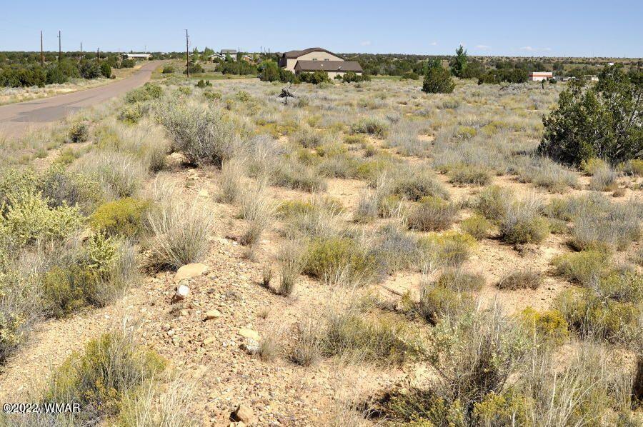 Lot 37 Old Woodruff Road Snowflake, AZ 85937 - Photo 5 of 14
