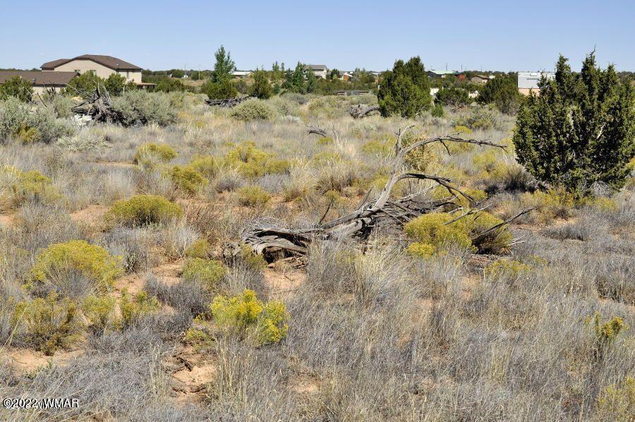 Lot 37 Old Woodruff Road Snowflake, AZ 85937 - Photo 6 of 14
