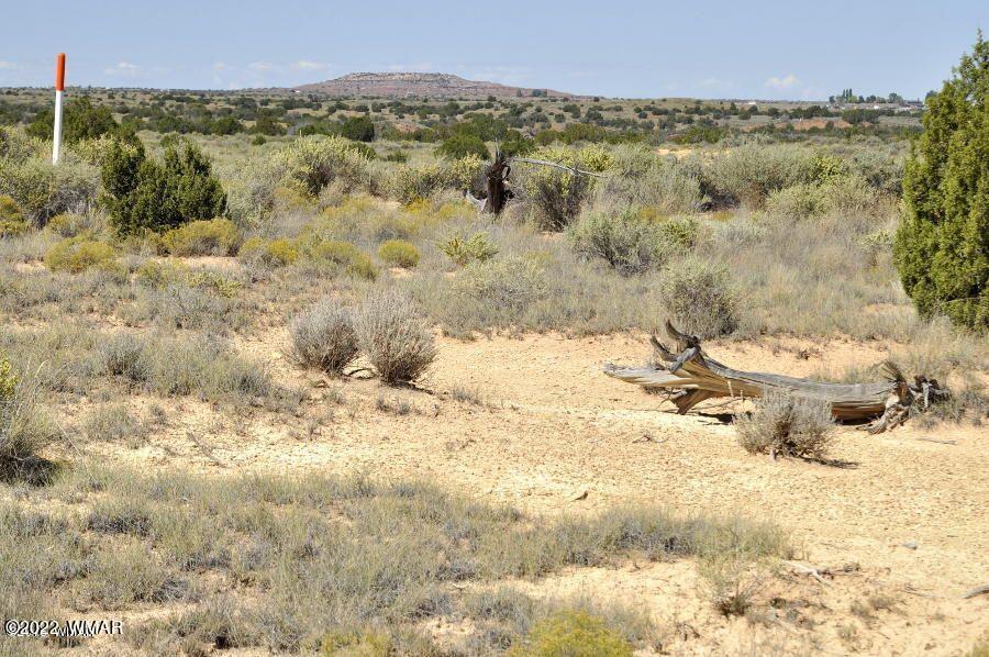 Lot 37 Old Woodruff Road Snowflake, AZ 85937 - Photo 7 of 14