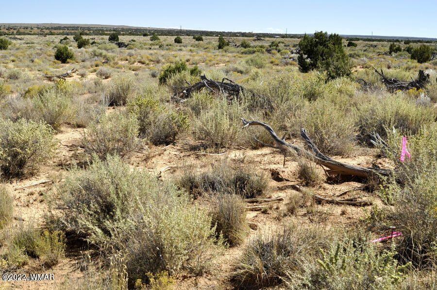 Lot 37 Old Woodruff Road Snowflake, AZ 85937 - Photo 8 of 14