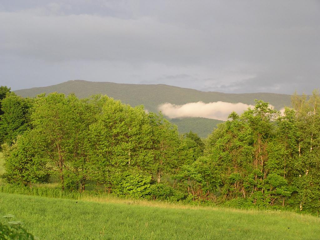 4 Robert Young Road Starksboro, VT 05487 - Photo 3 of 3