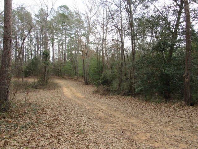 102 An County Road, Unit 347 Palestine, TX 75803 - Photo 22 of 27