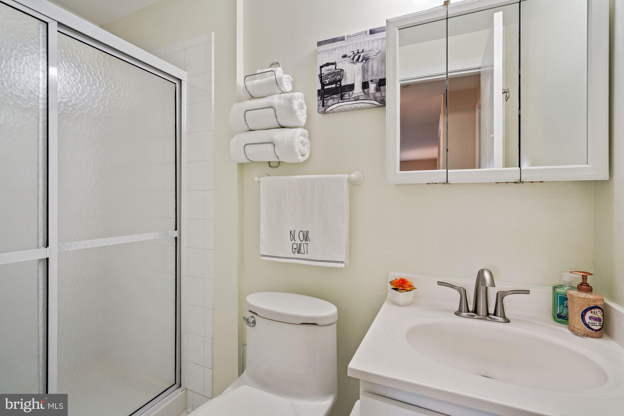 8112 Viola Street Springfield, VA 22152 - Photo 19 of 28 Lower level full bath