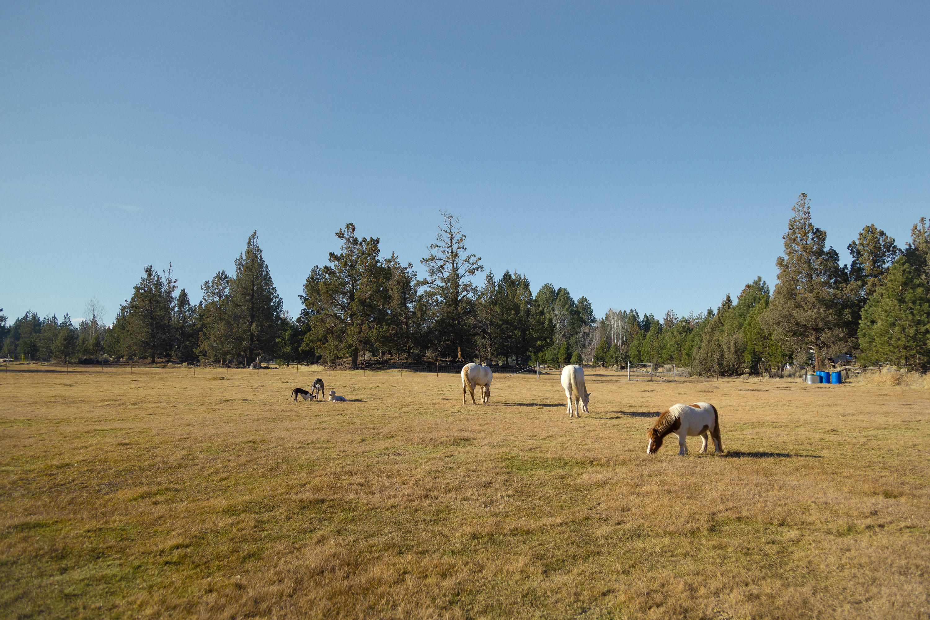20135 Rodeo Drive Bend, OR 97703 - Photo 17 of 24 a view of a lake with a yard