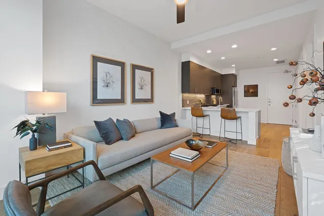 a living room with furniture and a potted plant