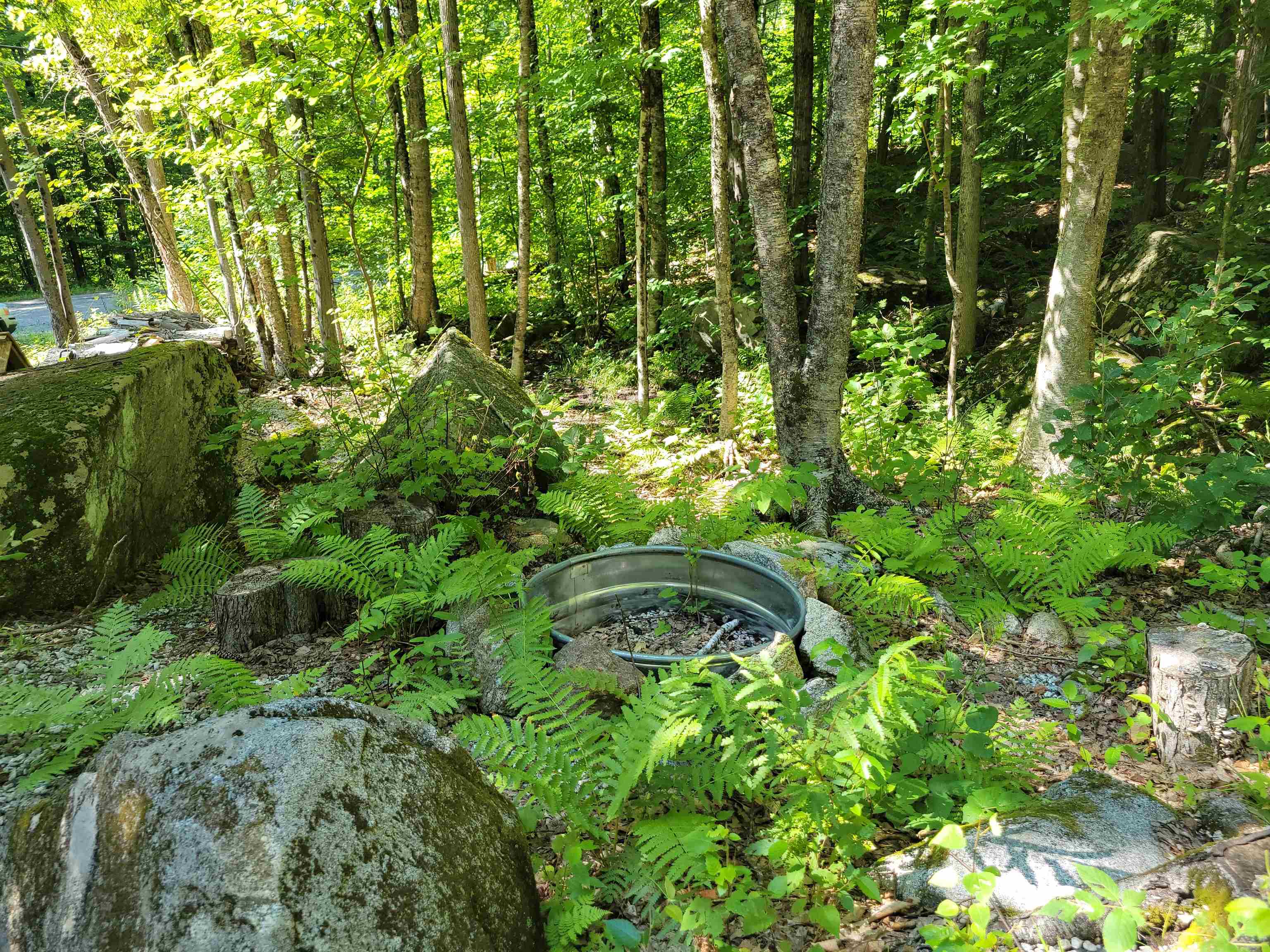 54 Hawkins Pond Road Center Harbor, NH 03226 - Photo 12 of 27