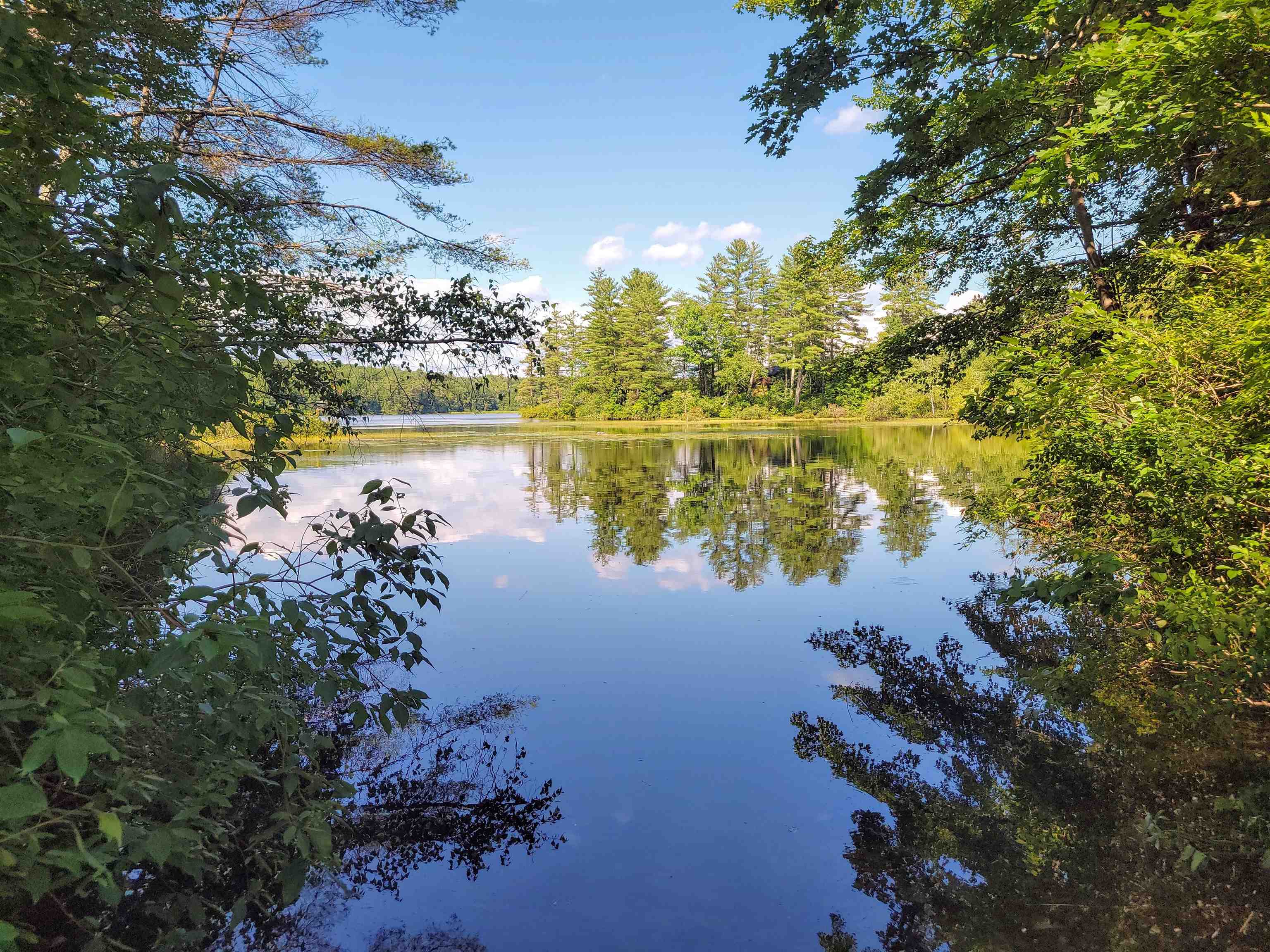 54 Hawkins Pond Road Center Harbor, NH 03226 - Photo 19 of 27