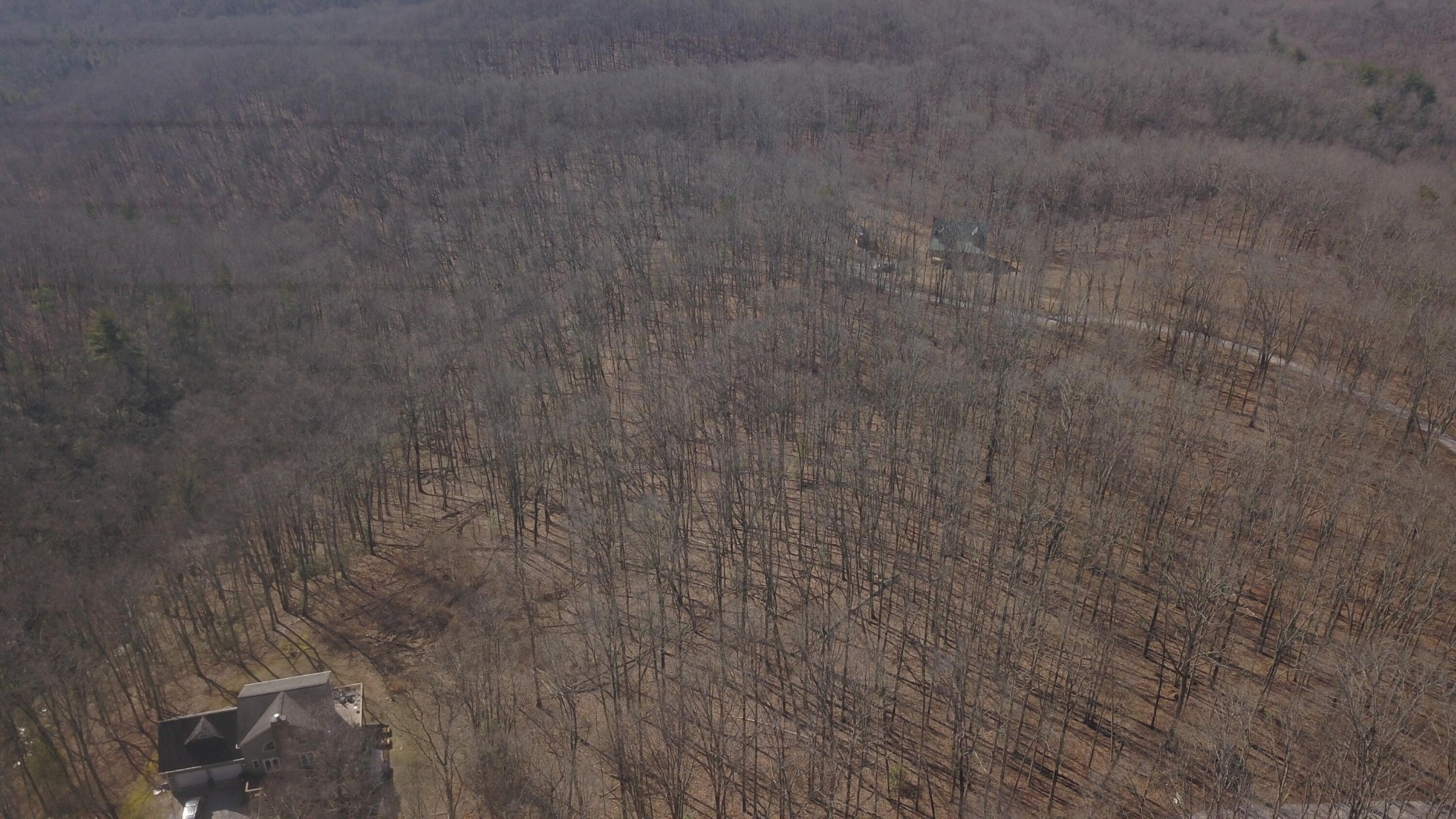 0 Grouse Ridge Road Harriman, TN 37748 - Photo 15 of 15 Gallery Image 15