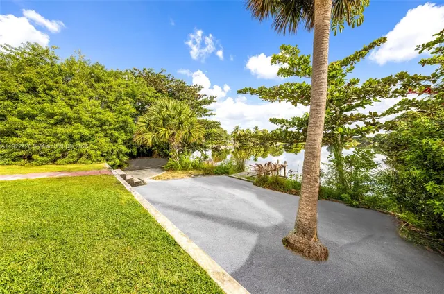 a view of a yard with palm tree