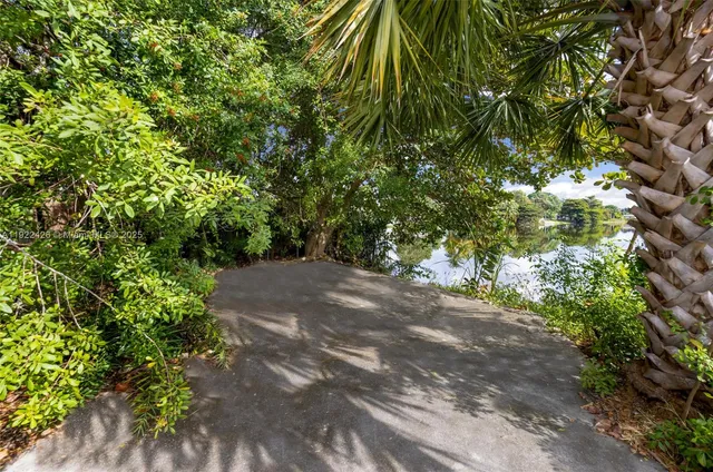 a view of a street with a tree